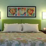 Aparthotel Amaryllis Tolo