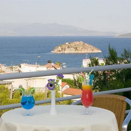 Amaryllis Τολό