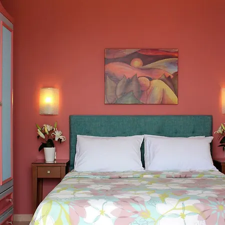 Amaryllis 3* Τολό